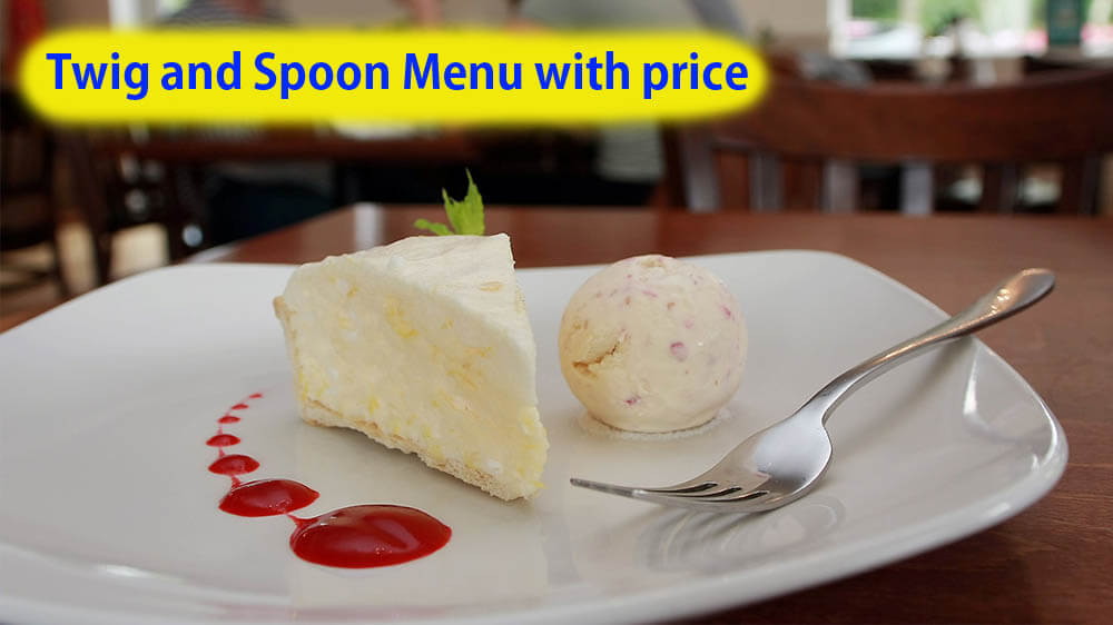 twig and spoon menu with price